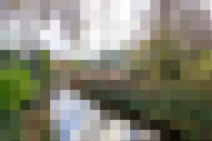 Hondsdraflaan 9 Bennebroek thumbnail 43