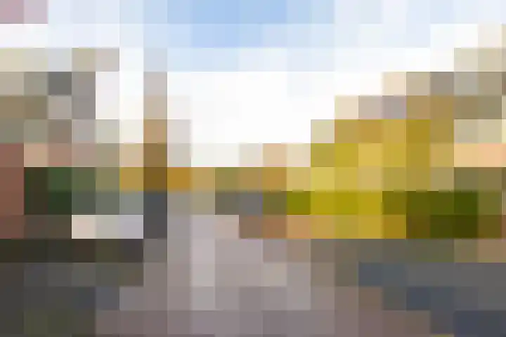 Hondsdraflaan 9 Bennebroek thumbnail 44