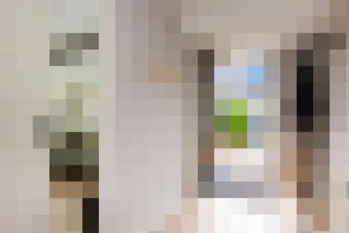 Hondsdraflaan 9 Bennebroek thumbnail 9