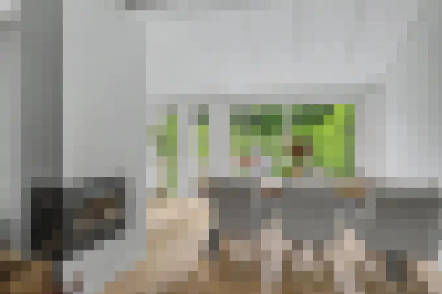 Hondsdrafmeen 40 Harderwijk thumbnail 10