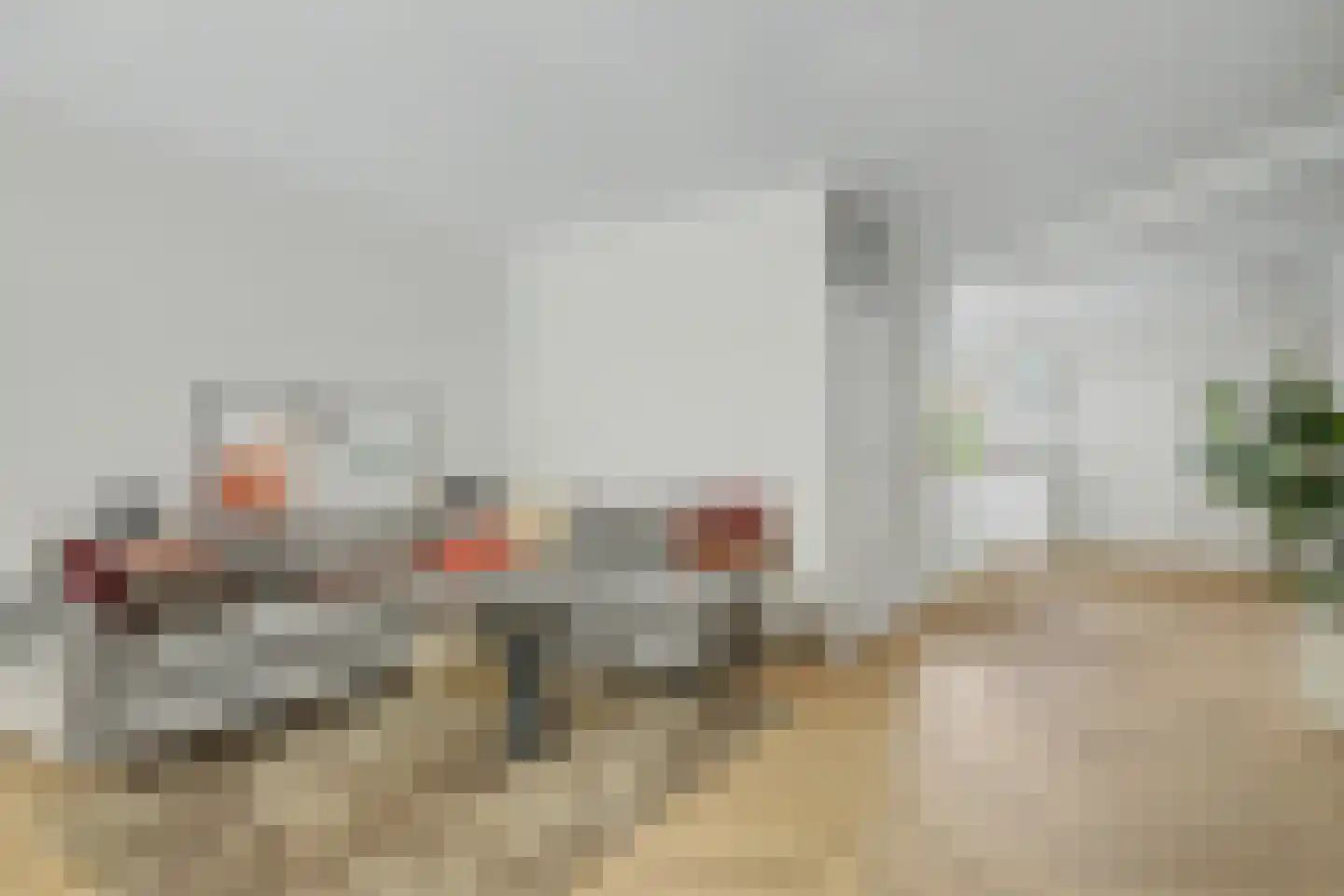 Hondsdrafmeen 40 Harderwijk thumbnail 13