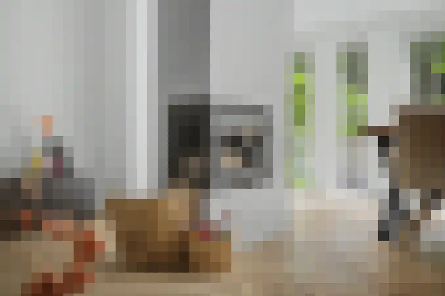 Hondsdrafmeen 40 Harderwijk thumbnail 15