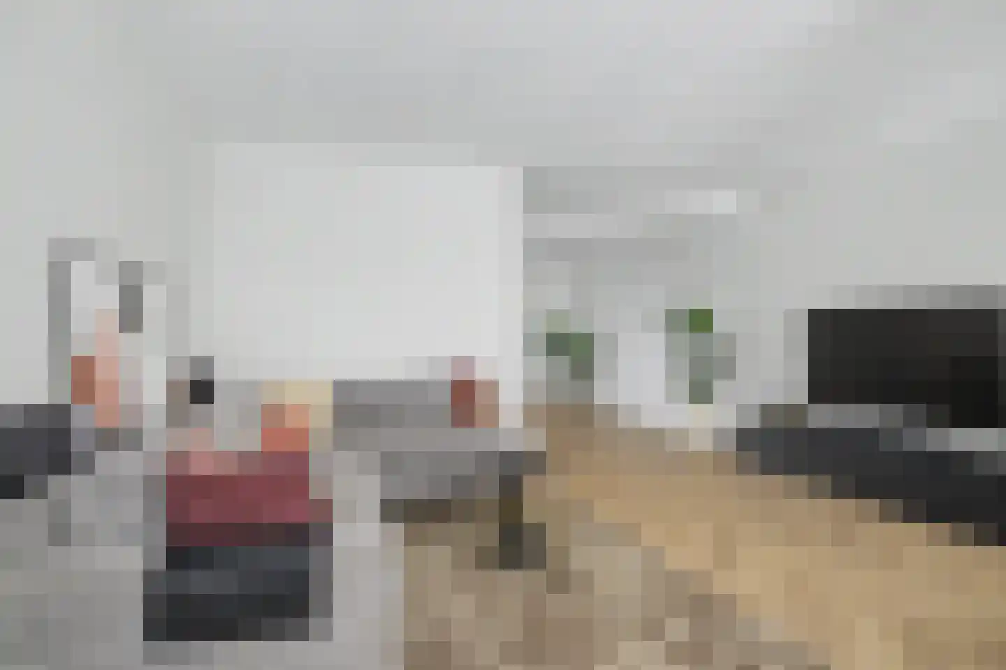 Hondsdrafmeen 40 Harderwijk thumbnail 16