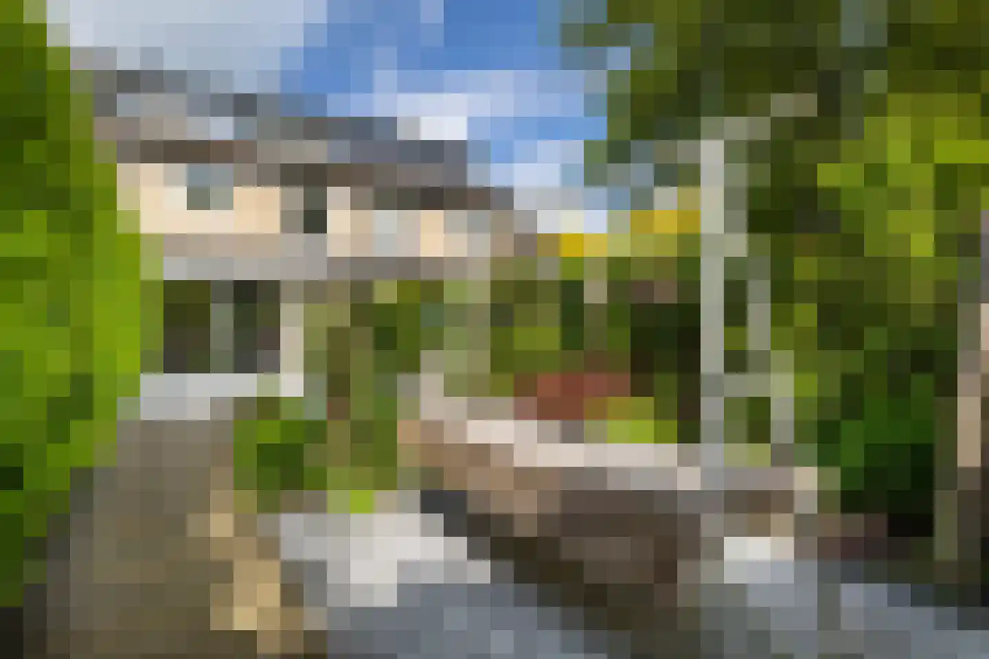 Hondsdrafmeen 40 Harderwijk thumbnail 21