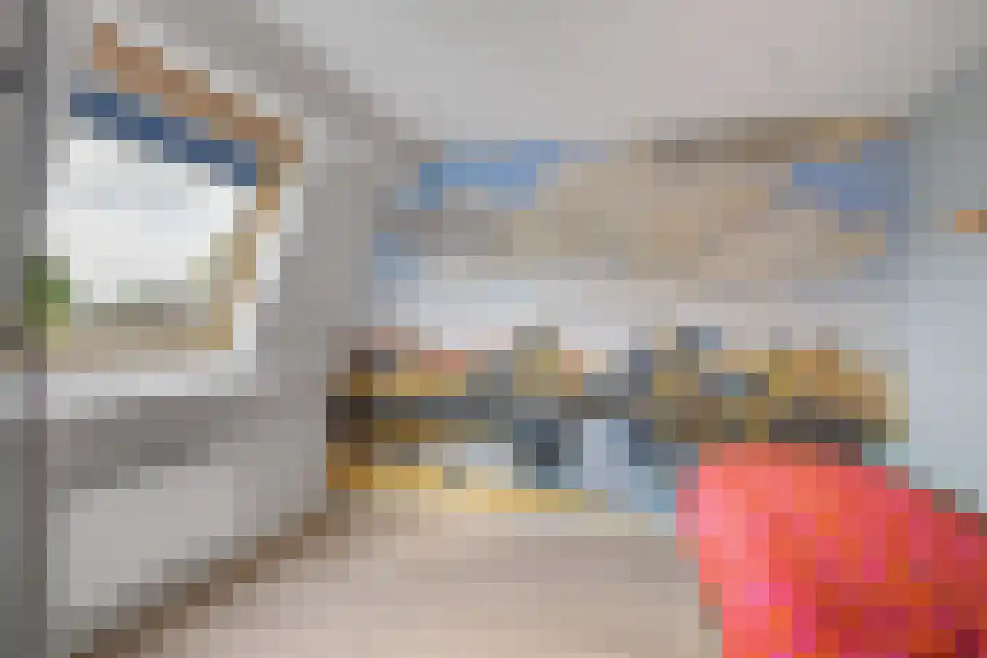Hondsdrafmeen 40 Harderwijk thumbnail 35