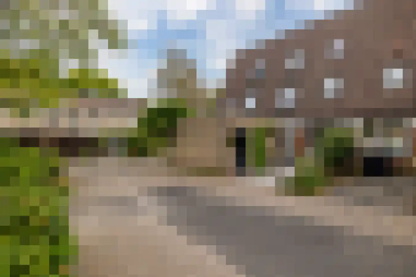 Hondsdrafmeen 40 Harderwijk thumbnail 4