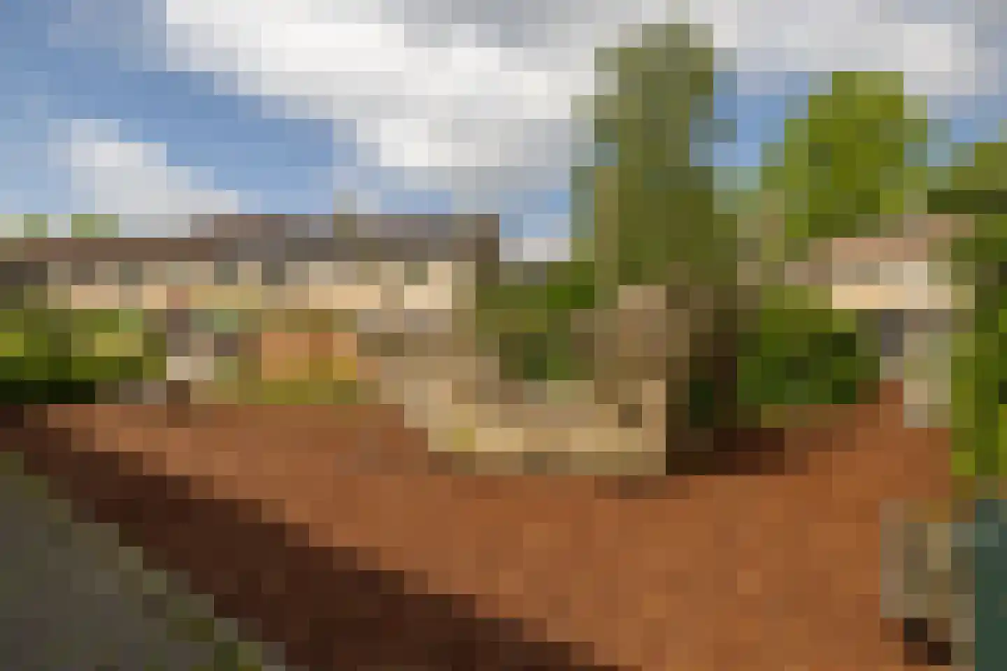 Hondsdrafmeen 40 Harderwijk thumbnail 41