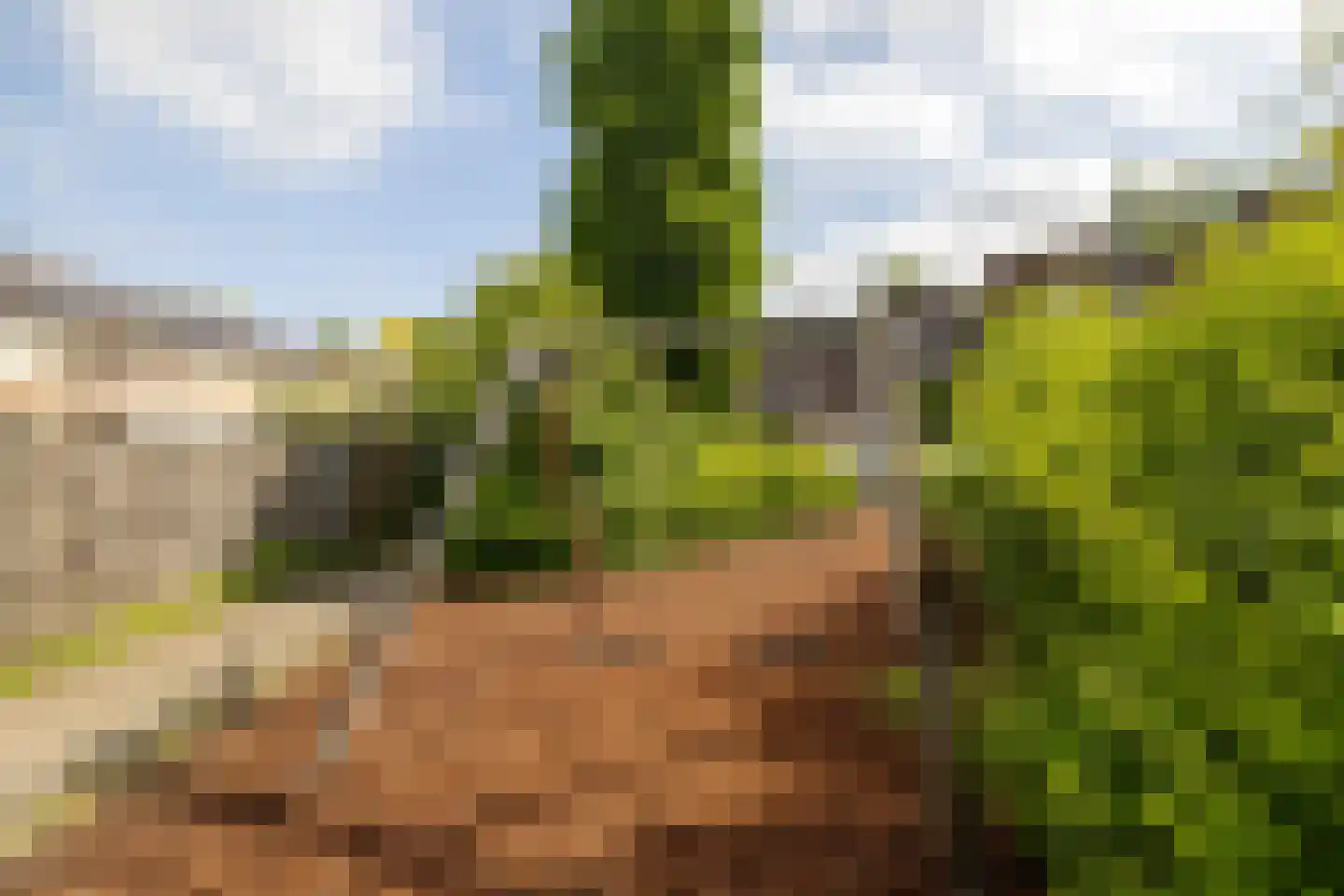Hondsdrafmeen 40 Harderwijk thumbnail 42