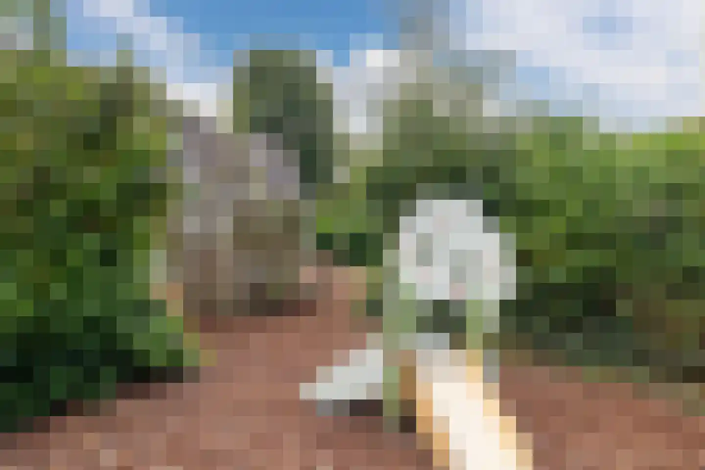Hondsdrafmeen 40 Harderwijk thumbnail 43