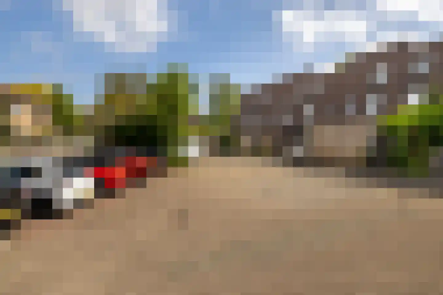 Hondsdrafmeen 40 Harderwijk thumbnail 44