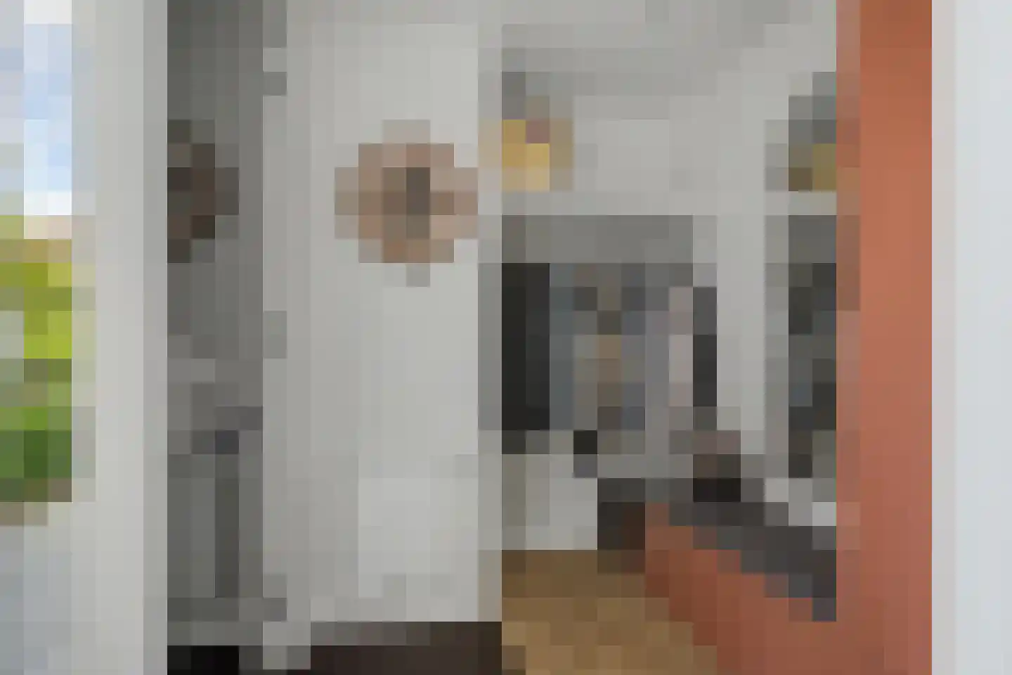 Hondsdrafmeen 40 Harderwijk thumbnail 7