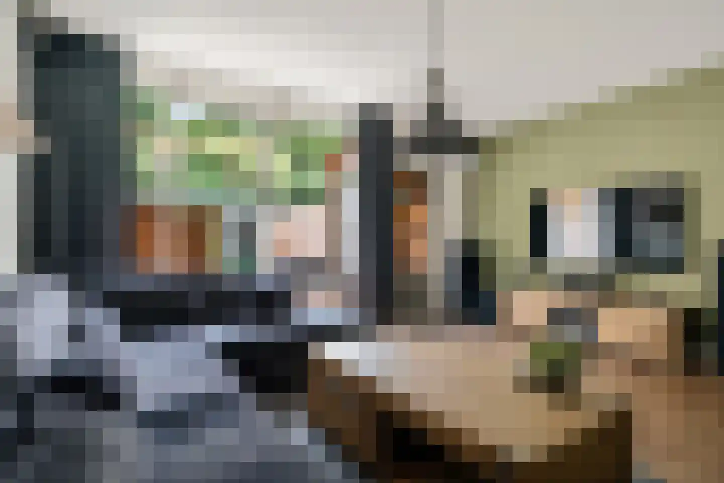 Hondsdrafmeen 45 Harderwijk thumbnail 13