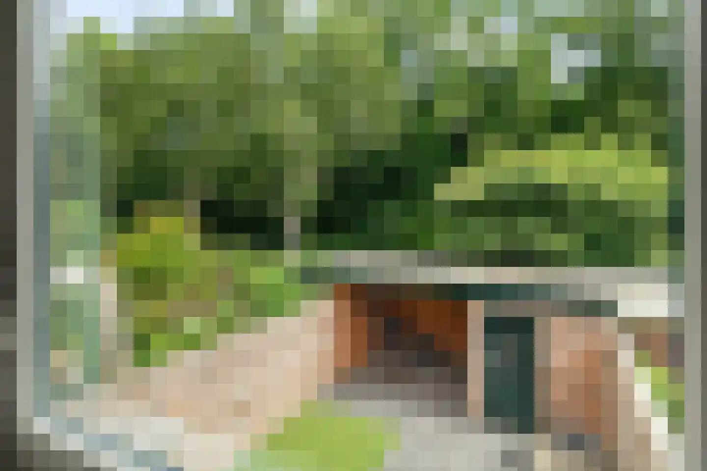 Hondsdrafmeen 45 Harderwijk thumbnail 31