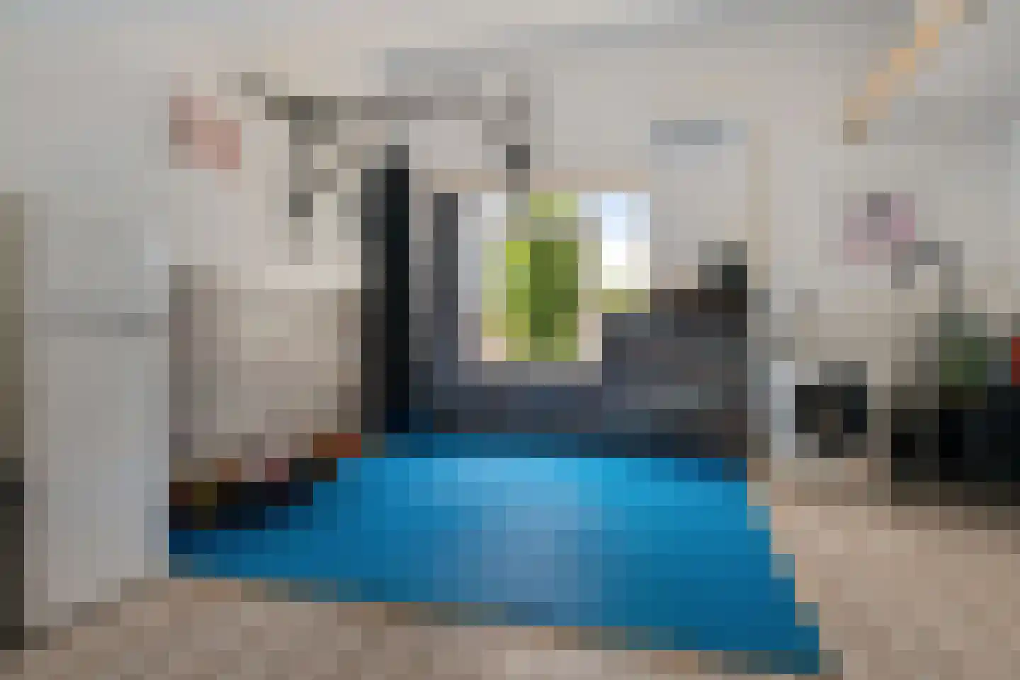 Hondsdrafmeen 45 Harderwijk thumbnail 32
