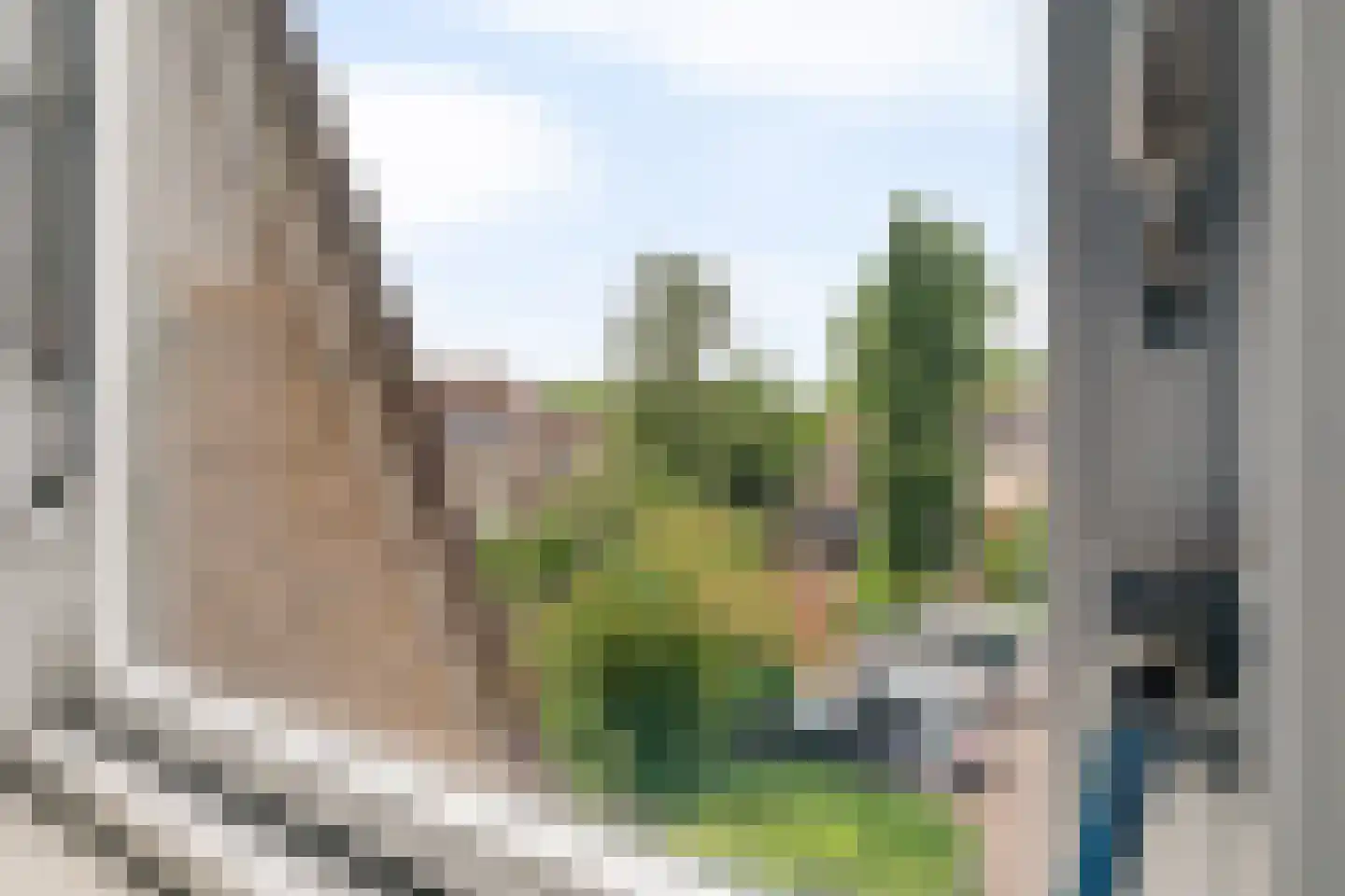 Hondsdrafmeen 45 Harderwijk thumbnail 36