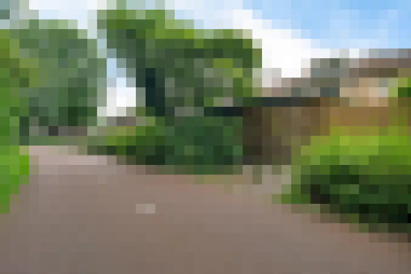 Hondsdrafmeen 45 Harderwijk thumbnail 45