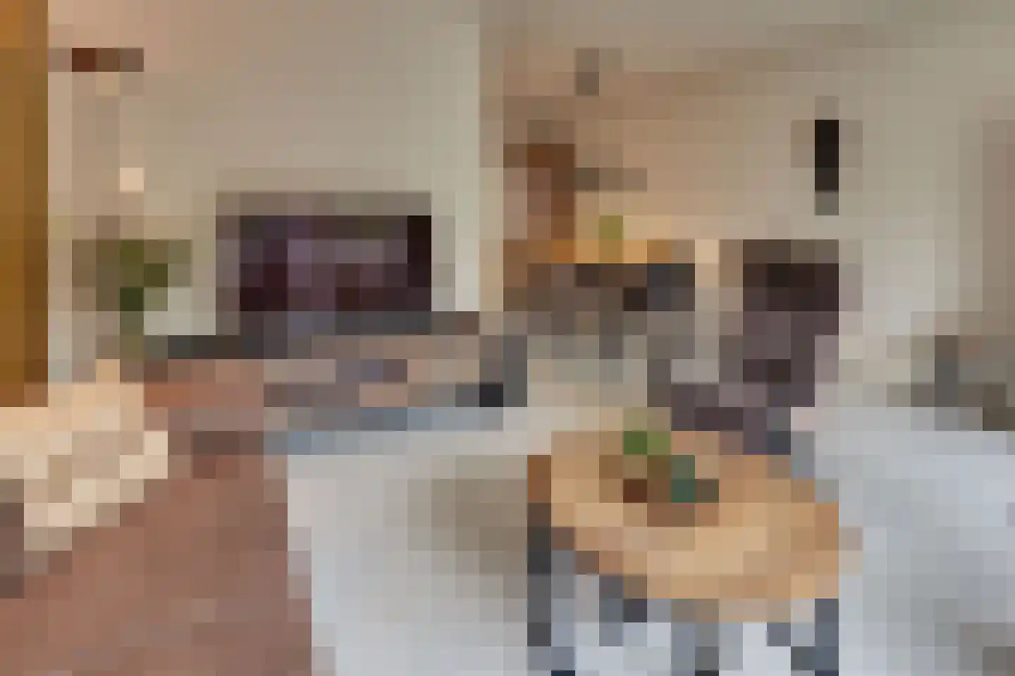 Hondsdrafmeen 48 Harderwijk thumbnail 13