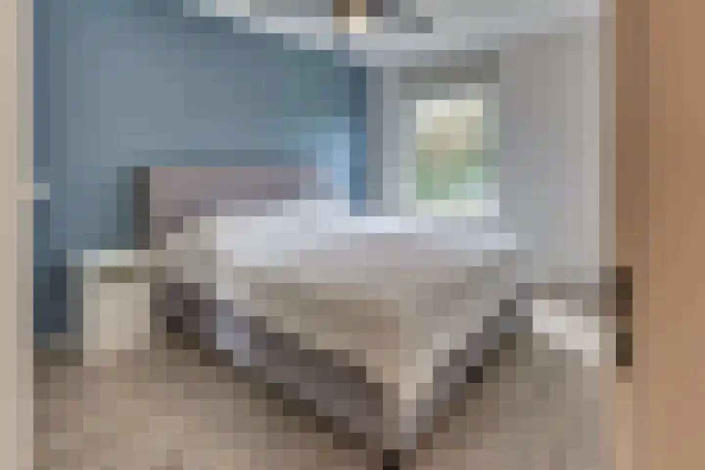 Hondsdrafmeen 48 Harderwijk thumbnail 25