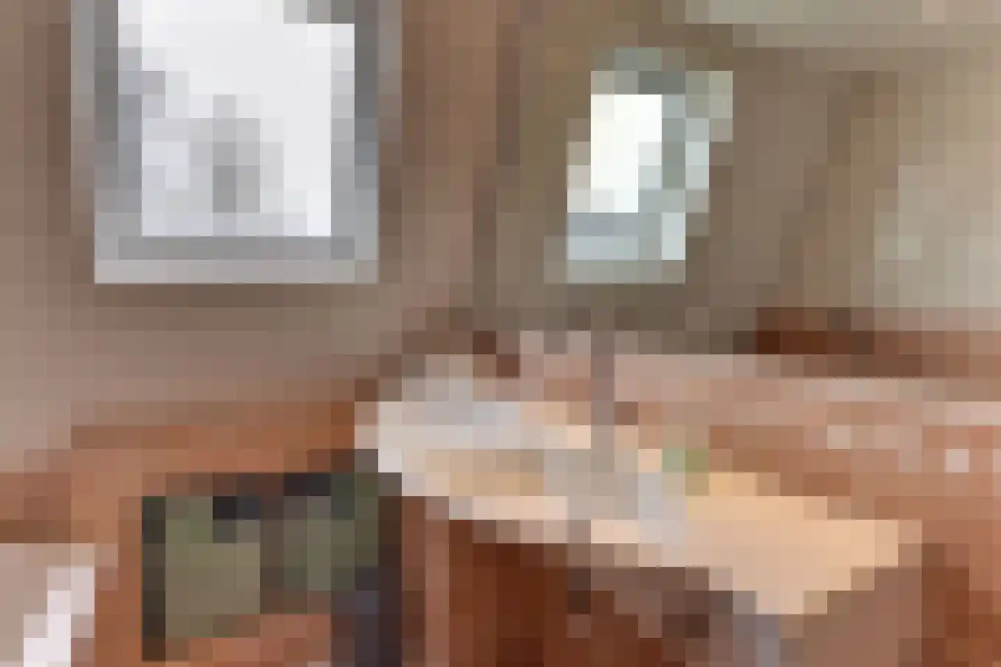 Hondsdrafmeen 48 Harderwijk thumbnail 33