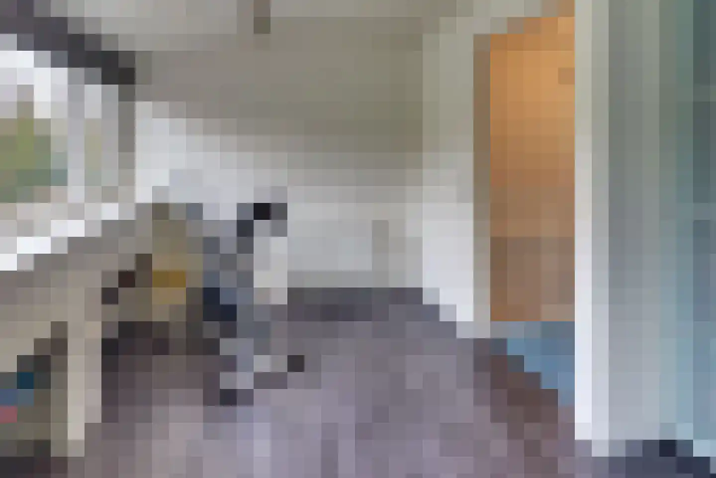 Hondsdrafmeen 48 Harderwijk thumbnail 37