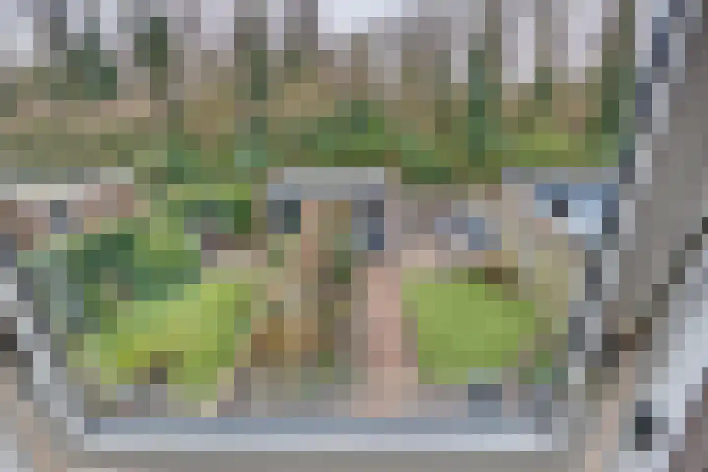 Hondsdrafmeen 48 Harderwijk thumbnail 42