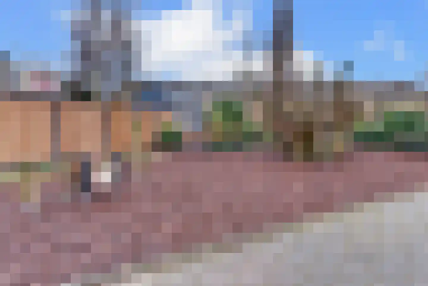 Hondsdrafmeen 48 Harderwijk thumbnail 46