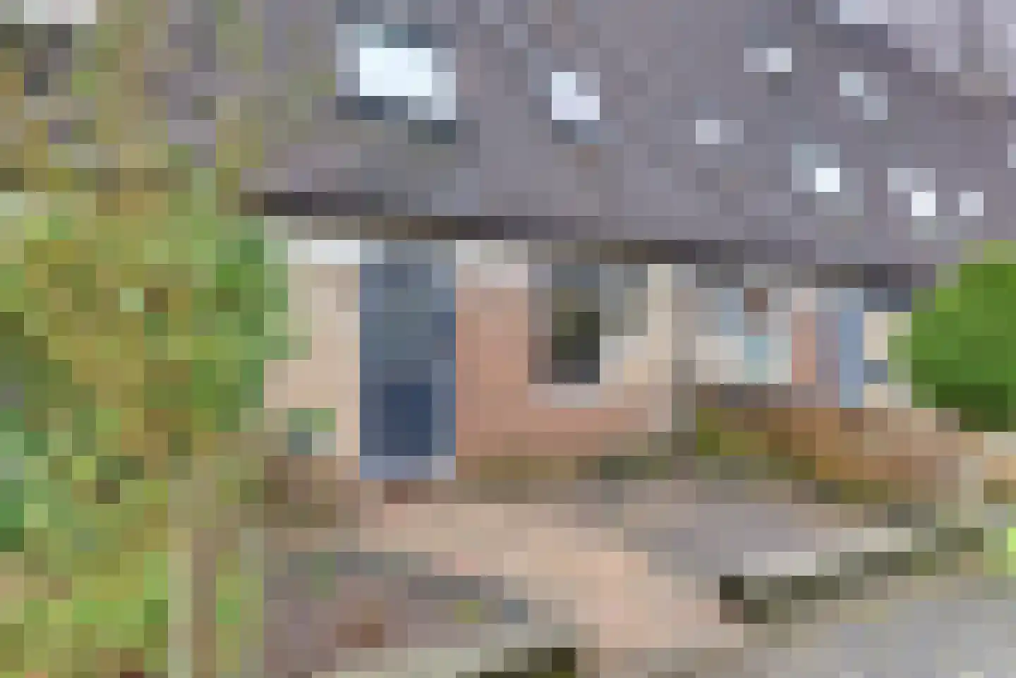 Hondsdrafmeen 48 Harderwijk thumbnail 5