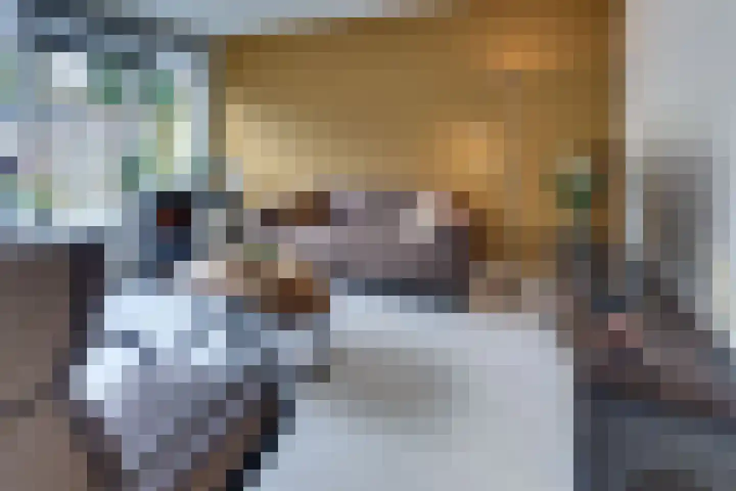 Hondsdrafmeen 48 Harderwijk thumbnail 8