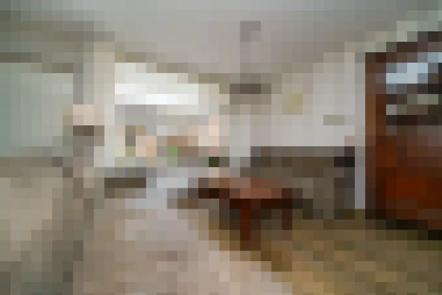 Hondsdrafstraat 4 Bleskensgraaf ca thumbnail 13