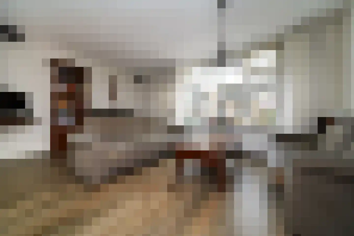 Hondsdrafstraat 4 Bleskensgraaf ca thumbnail 14