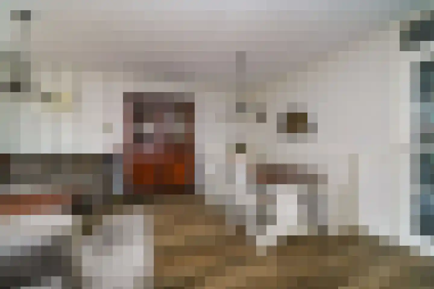 Hondsdrafstraat 4 Bleskensgraaf ca thumbnail 15