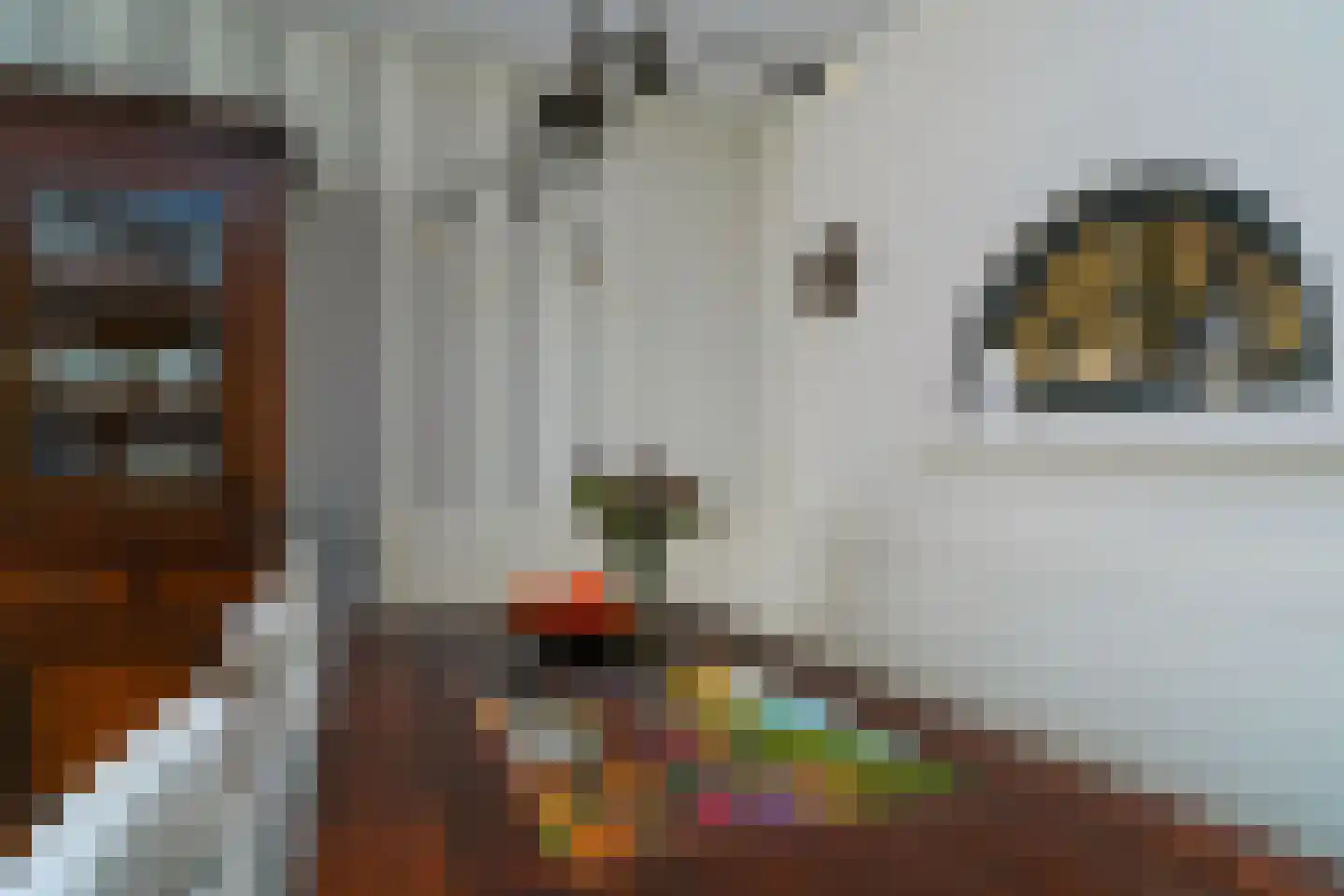 Hondsdrafstraat 4 Bleskensgraaf ca thumbnail 16