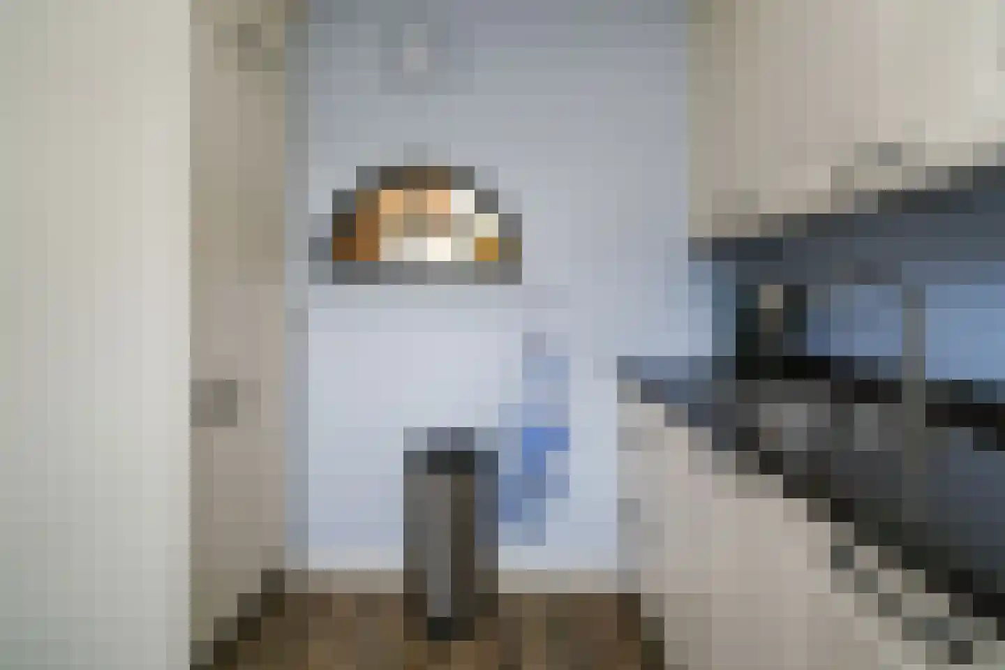 Hondsdrafstraat 4 Bleskensgraaf ca thumbnail 20