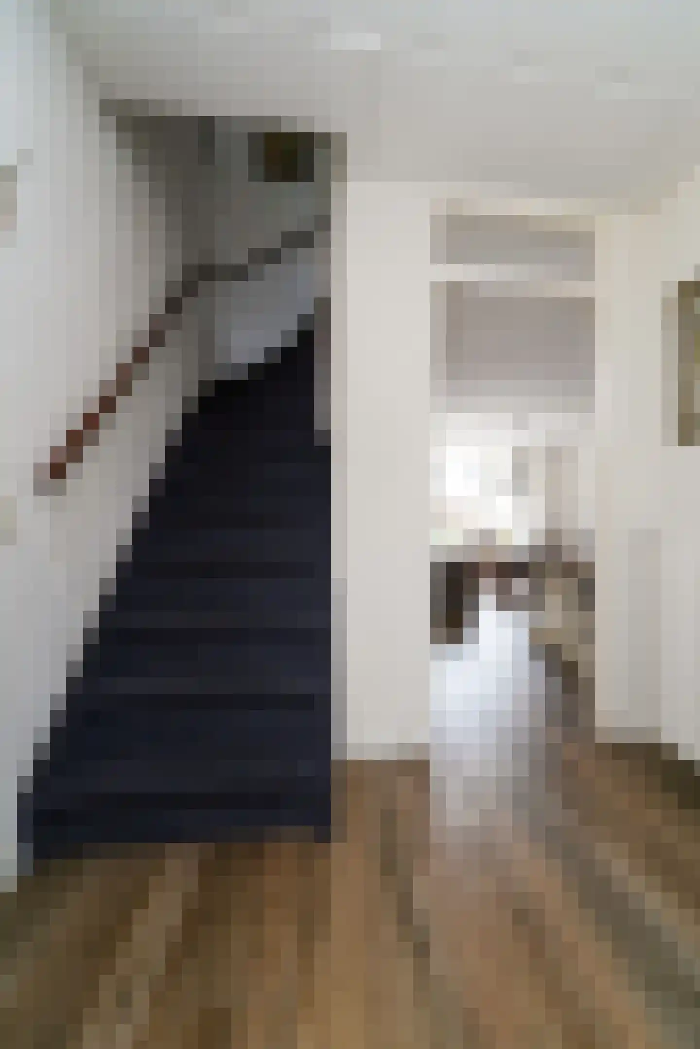 Hondsdrafstraat 4 Bleskensgraaf ca thumbnail 21