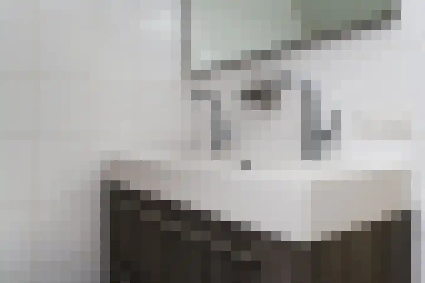 Hondsdrafstraat 4 Bleskensgraaf ca thumbnail 32