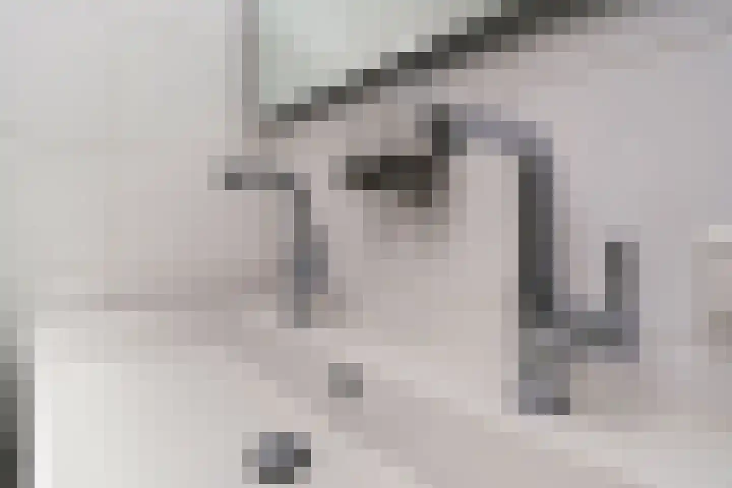 Hondsdrafstraat 4 Bleskensgraaf ca thumbnail 33
