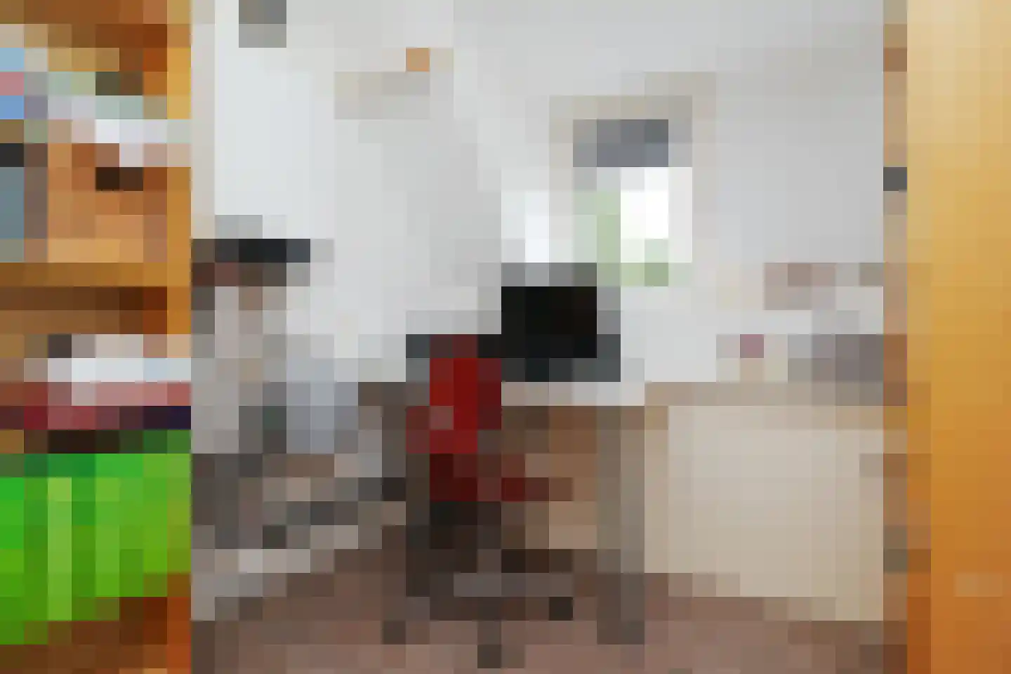 Hondsdrafstraat 4 Bleskensgraaf ca thumbnail 34