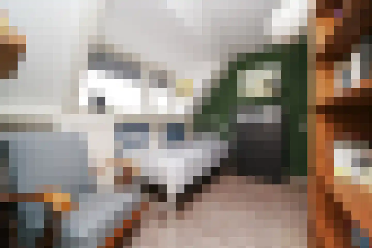 Hondsdrafstraat 4 Bleskensgraaf ca thumbnail 35