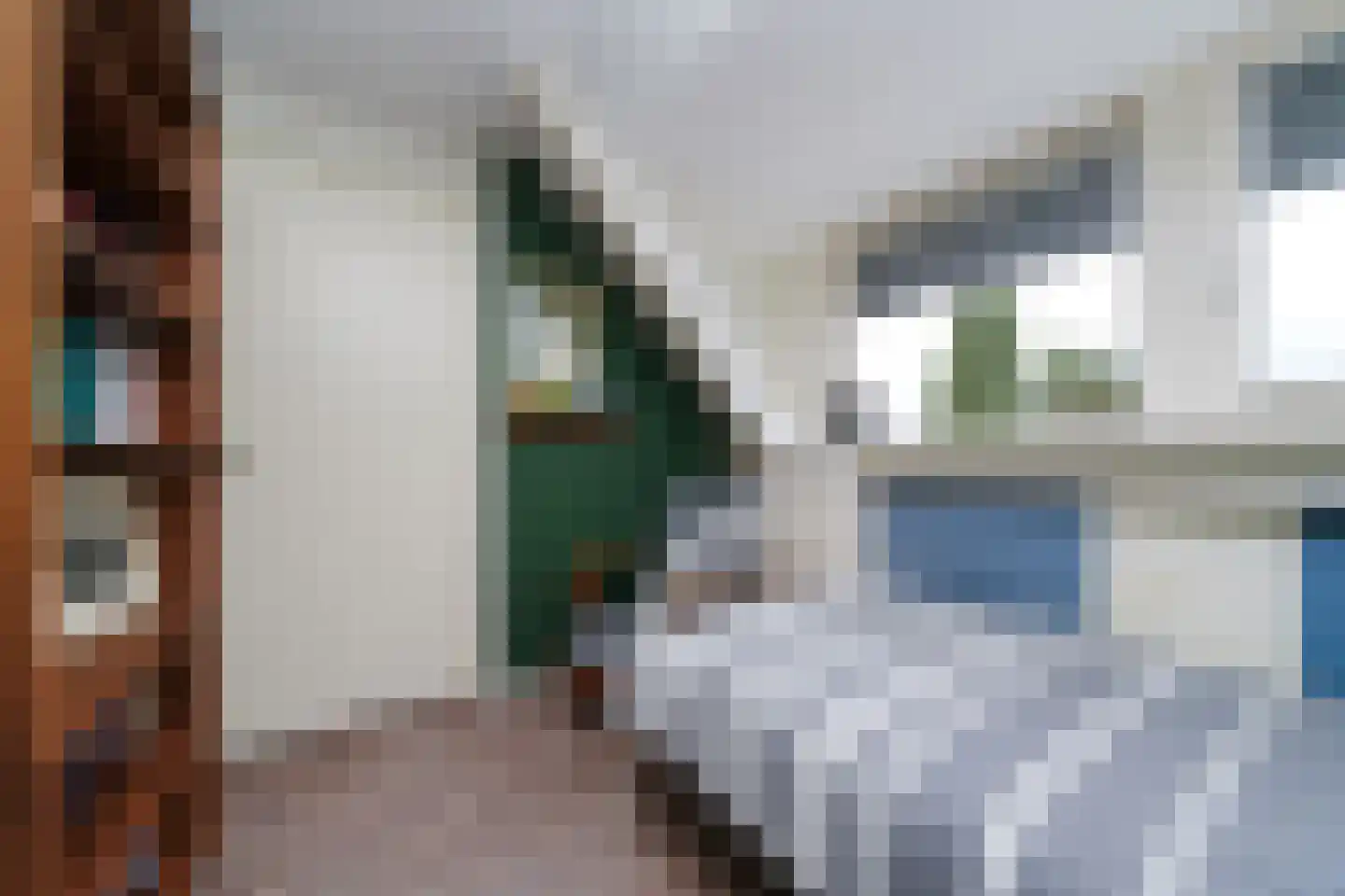 Hondsdrafstraat 4 Bleskensgraaf ca thumbnail 36