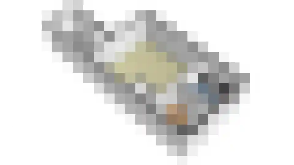 Hondsdrafstraat 4 Bleskensgraaf ca thumbnail 39