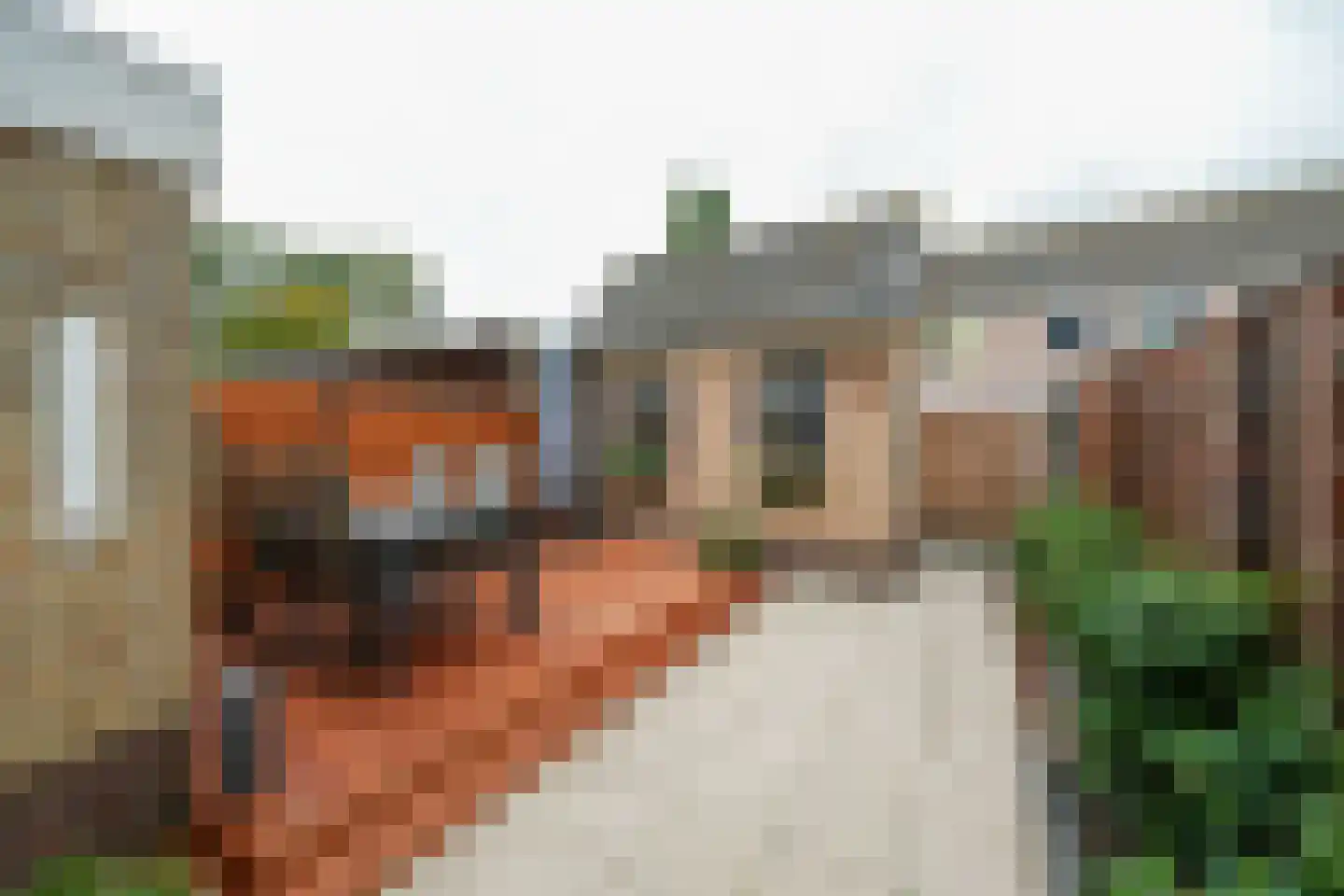 Hondsdrafstraat 4 Bleskensgraaf ca thumbnail 5