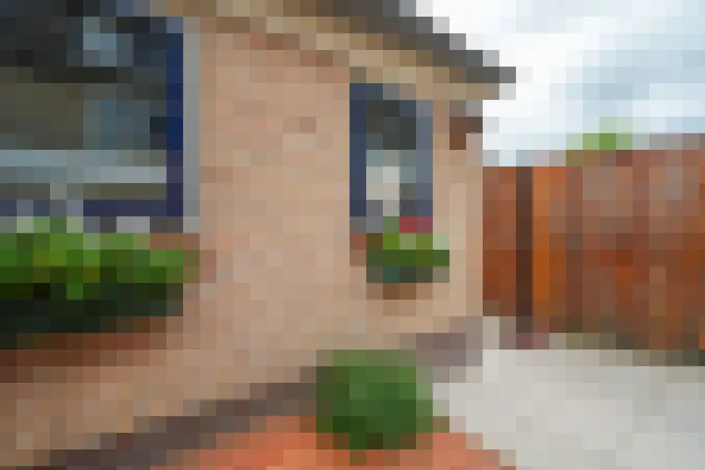 Hondsdrafstraat 4 Bleskensgraaf ca thumbnail 7