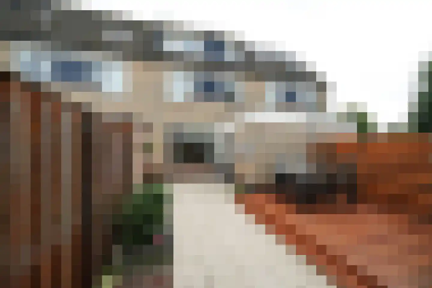 Hondsdrafstraat 4 Bleskensgraaf ca thumbnail 8