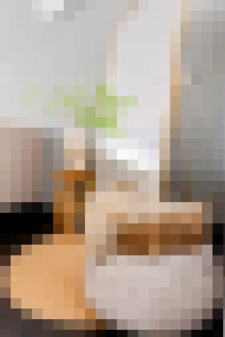 Hondsdrafstraat 8 Vught thumbnail 12