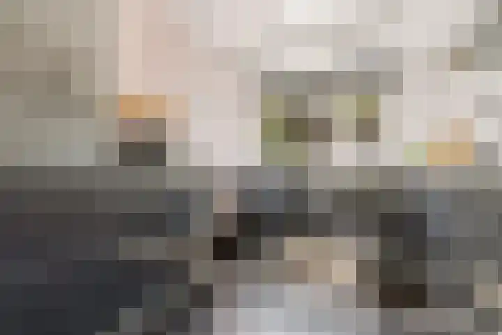 Hondsdrafstraat 8 Vught thumbnail 14