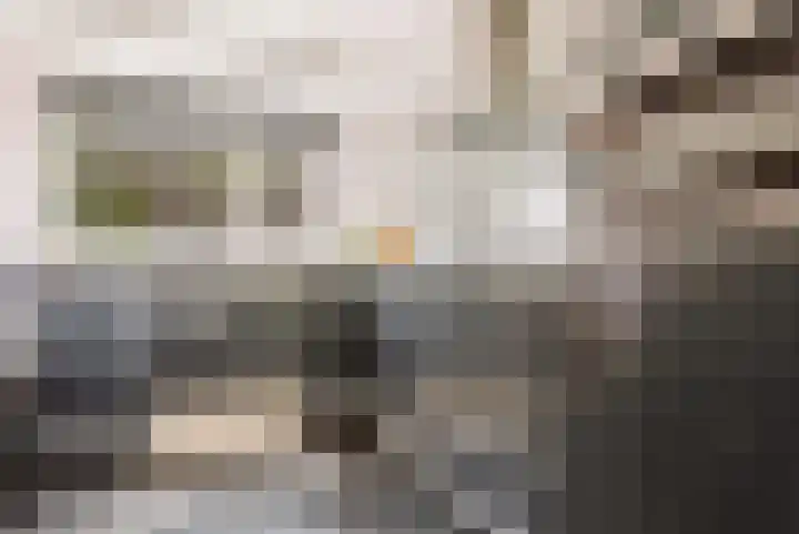 Hondsdrafstraat 8 Vught thumbnail 16