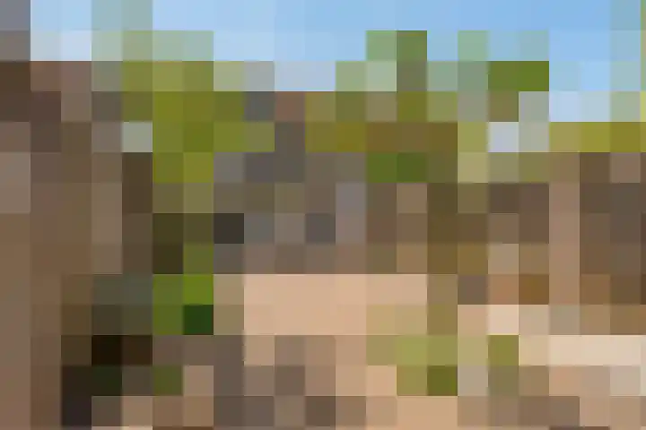 Hondsdrafstraat 8 Vught thumbnail 22