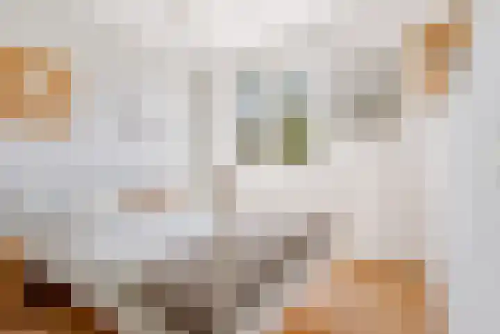 Hondsdrafstraat 8 Vught thumbnail 31