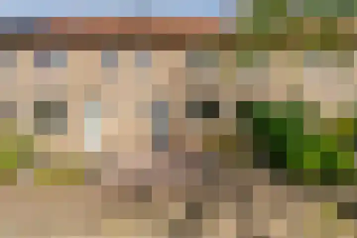 Hondsdrafstraat 8 Vught thumbnail 44