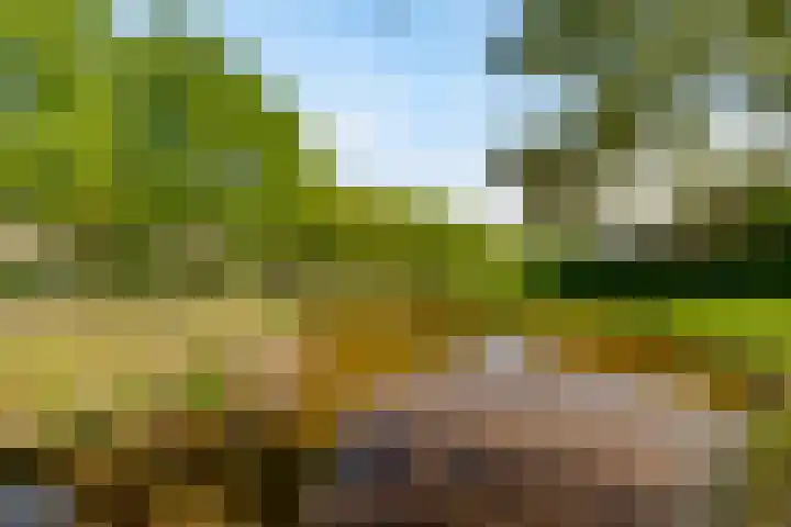 Hondsdrafstraat 8 Vught thumbnail 47